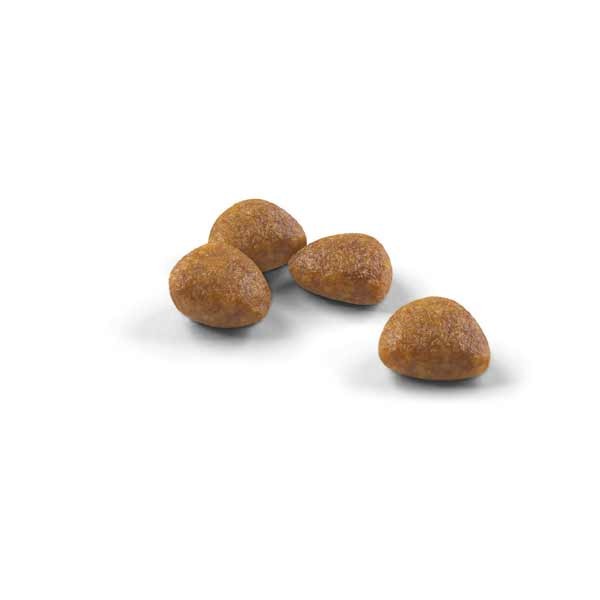 Royal Canin Outdoor Ageing 7+ 2kg Dry Cat Food 2 Royal Canin Outdoor Ageing 7+ 2kg Dry Cat Food - Image 2