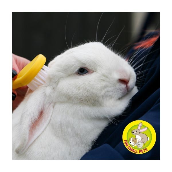 Ancol Small Animal Bristle Brush 2 Ancol Small Animal Bristle Brush - Image 2