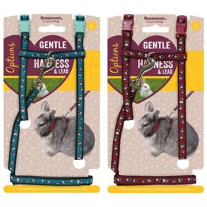 Rosewood Paw Prints Harness & Lead Small