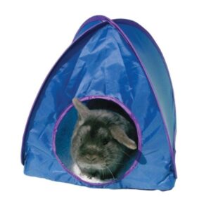 Rosewood Pop - Up Tent Large