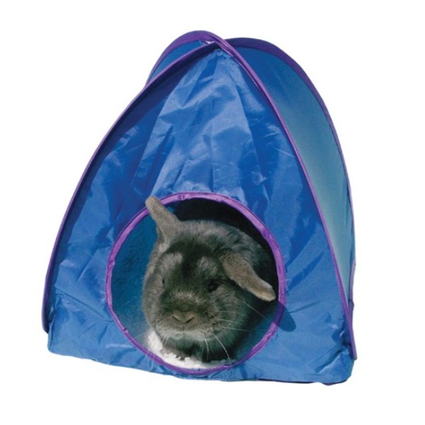 Rosewood Pop - Up Tent Large 1 Rosewood Pop - Up Tent Large