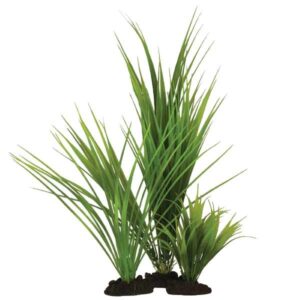 Hugo Kamishi Variegated Rush 30cm