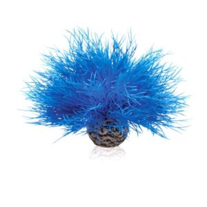 biOrb Sea Lily Blue