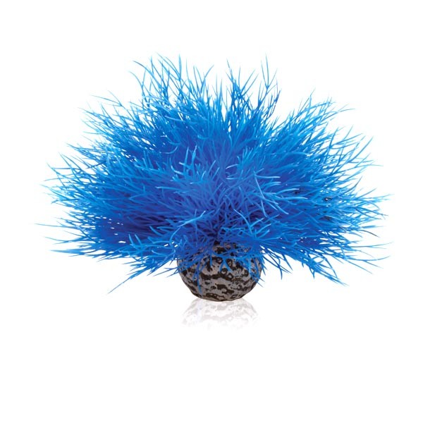 biOrb Sea Lily Blue 1 biOrb Sea Lily Blue