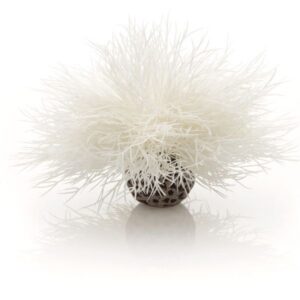 biOrb Sea Lily White