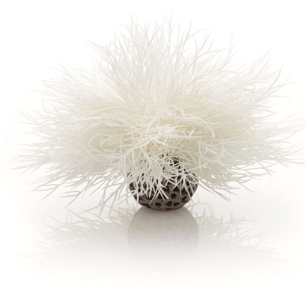 biOrb Sea Lily White 1 biOrb Sea Lily White