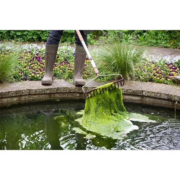 Cloverleaf Blanket Answer Pond Treatment 200g 2 Cloverleaf Blanket Answer Pond Treatment 200g - Image 2