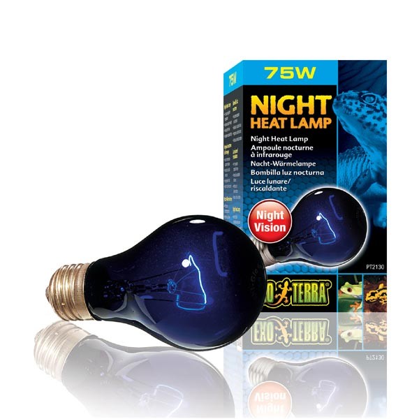 Exo Terra Night Heat Lamp 75w 1 Exo Terra Night Heat Lamp 75w