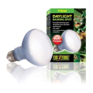 Exo Terra Daylight Basking Spot 75w