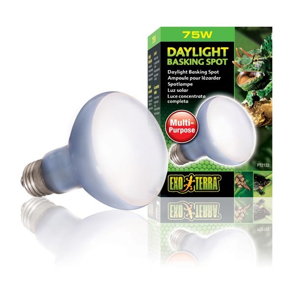 Exo Terra Daylight Basking Spot 75w 1 Exo Terra Daylight Basking Spot 75w