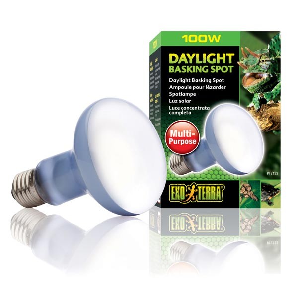 Exo Terra Daylight Basking Spot 100w 1 Exo Terra Daylight Basking Spot 100w