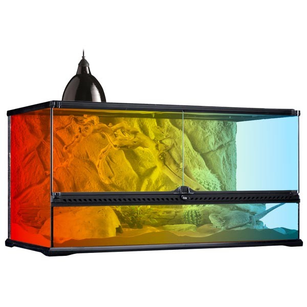 Exo Terra Daylight Basking Spot 100w 2 Exo Terra Daylight Basking Spot 100w - Image 2