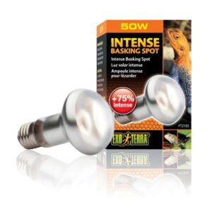 Exo Terra Intense Basking Spot 50w