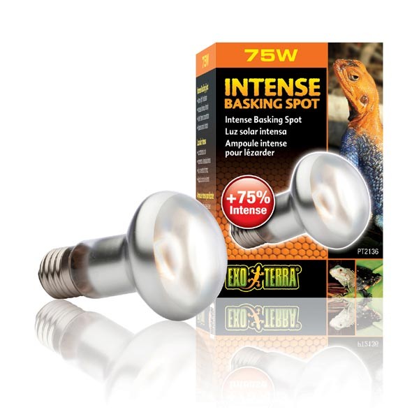 Exo Terra Intense Basking Spot 75w 1 Exo Terra Intense Basking Spot 75w