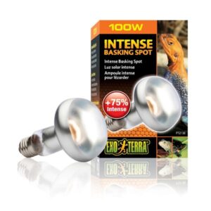 Exo Terra Intense Basking Spot 100w
