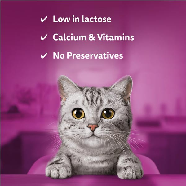 Whiskas Cat Milk Adult 3x200ml 3 Whiskas Cat Milk Adult 3x200ml - Image 3