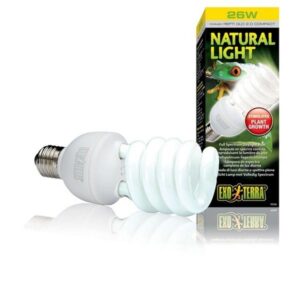 Exo Terra Natural Light Full Spectrum Daylight Compact Bulb 25w