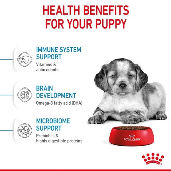 Royal Canin Mini Puppy 2kg Dry Dog Food 2 Royal Canin Mini Puppy 2kg Dry Dog Food - Image 2