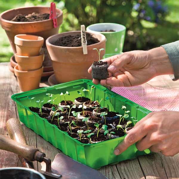 Grow it Peat Free Compost Growing Discs 50 Pack 6 Grow it Peat Free Compost Growing Discs 50 Pack - Image 6