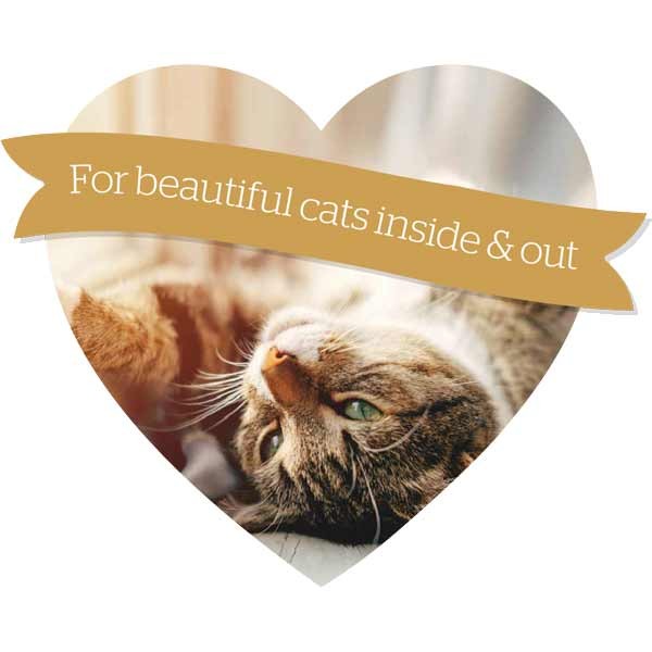 Burgess Chicken & Duck Adult 1.5kg Dry Cat Food 4 Burgess Chicken & Duck Adult 1.5kg Dry Cat Food - Image 4