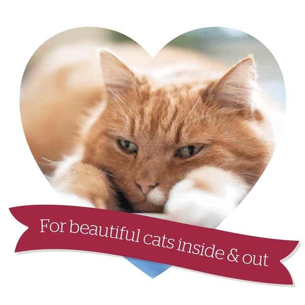 Burgess Turkey & Cranberry Mature 1.4kg Dry Cat Food 4 Burgess Turkey & Cranberry Mature 1.4kg Dry Cat Food - Image 4