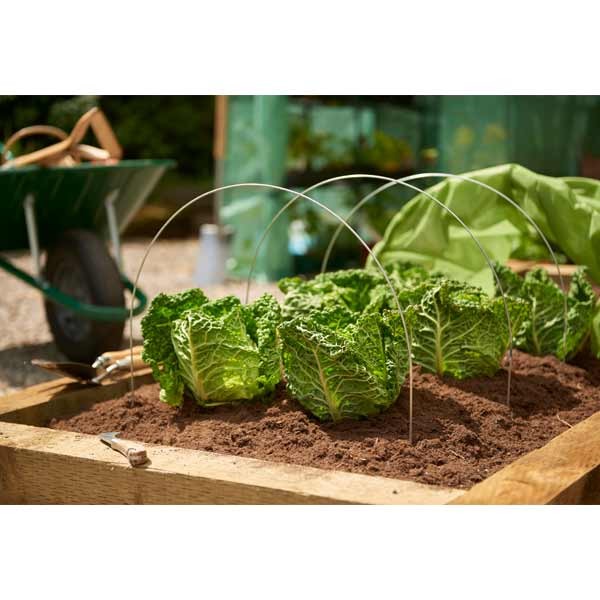 Grow it Grow Tunnel Hoops 3 Pack 2 Grow it Grow Tunnel Hoops 3 Pack - Image 2
