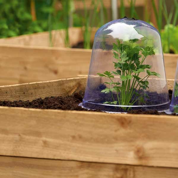 Grow it Bell Cloche 3 Pack 2 Grow it Bell Cloche 3 Pack - Image 2