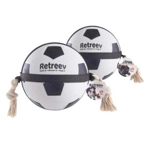 Actionball Football Small