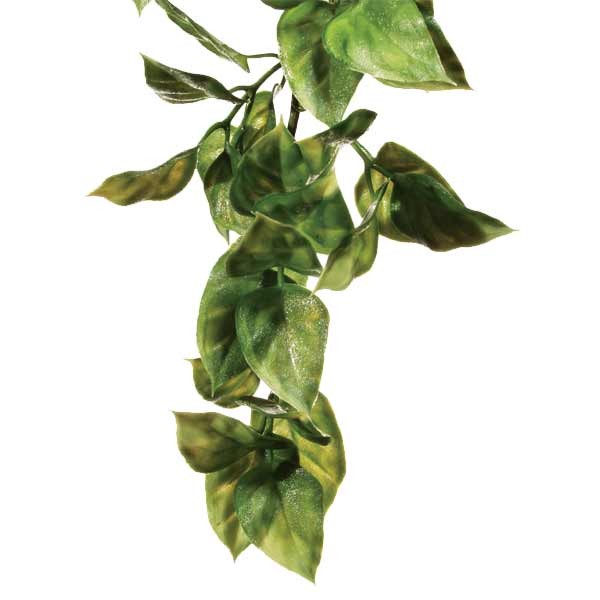 Exo Terra Hanging Rainforest Plant Amapallo Large 1 Exo Terra Hanging Rainforest Plant Amapallo Large
