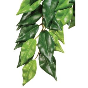 Exo Terra Hanging Rainforest Plant Ficus Large