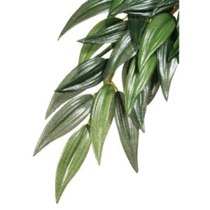 Exo Terra Hanging Rainforest Plant Rucus Large
