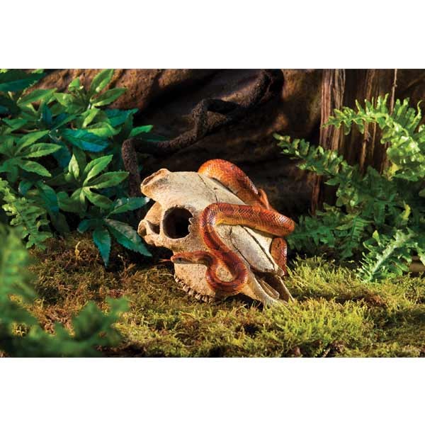 Exo Terra Buffalo Skull Resin Decor 3 Exo Terra Buffalo Skull Resin Decor - Image 3