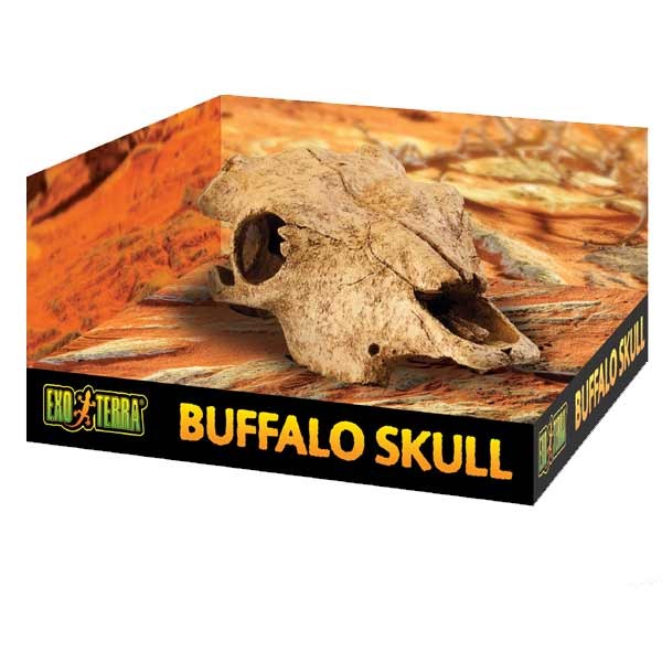 Exo Terra Buffalo Skull Resin Decor 4 Exo Terra Buffalo Skull Resin Decor - Image 4