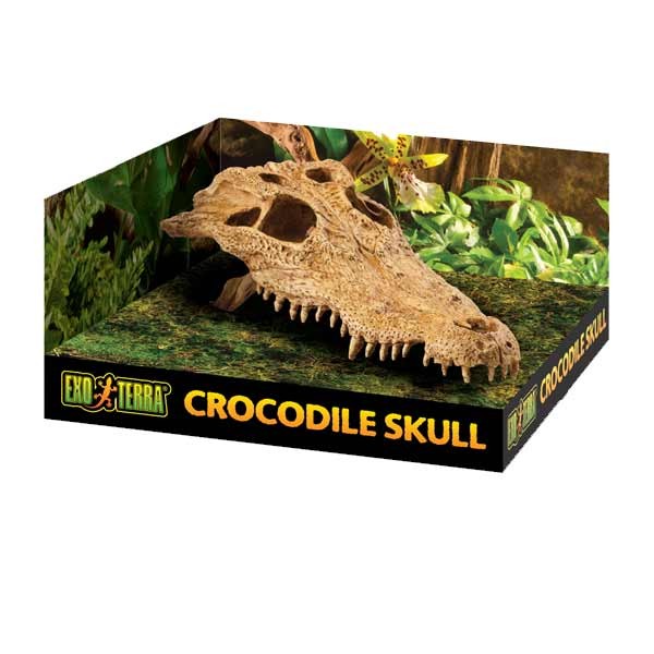 Exo Terra Crocodile Skull Resin Decor 4 Exo Terra Crocodile Skull Resin Decor - Image 4