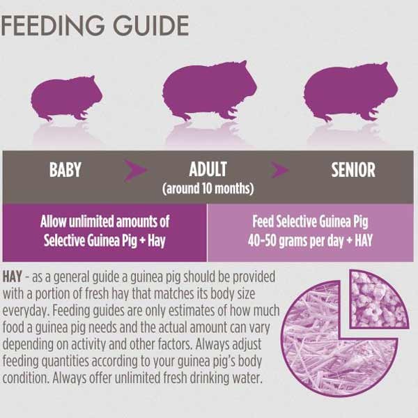 Supreme Science Selective Guinea Pig Food 3kg 3 Supreme Science Selective Guinea Pig Food 3kg - Image 3
