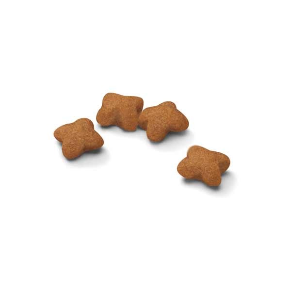 Royal Canin Kitten Sterilised 2kg Dry Cat Food 2 Royal Canin Kitten Sterilised 2kg Dry Cat Food - Image 2