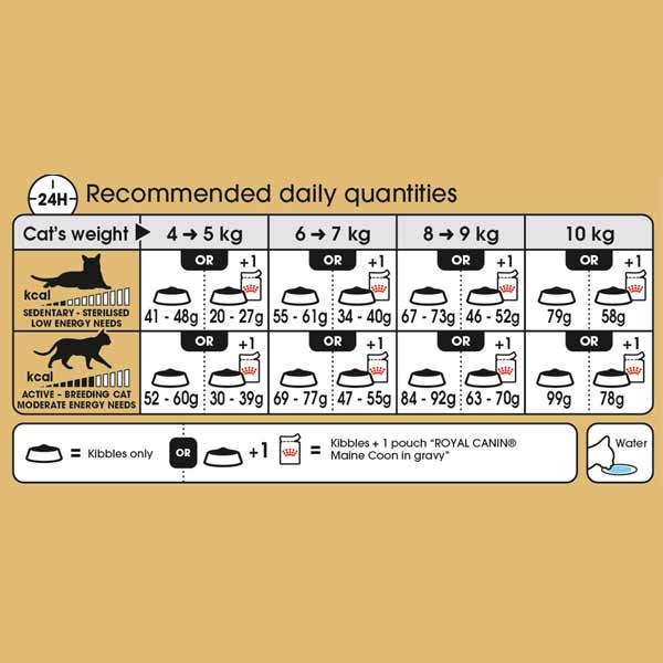 Royal Canin Maine Coon Adult 2kg Dry Cat Food 2 Royal Canin Maine Coon Adult 2kg Dry Cat Food - Image 2