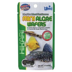 Hikari Mini Algae Wafers Sinking Food 22g