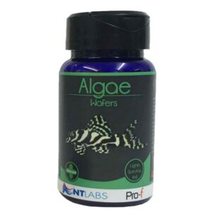 NT Labs Pro-f Algae Wafers 40g