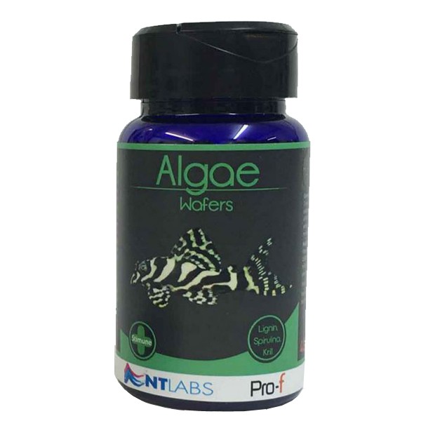 NT Labs Pro-f Algae Wafers 40g 1 NT Labs Pro-f Algae Wafers 40g