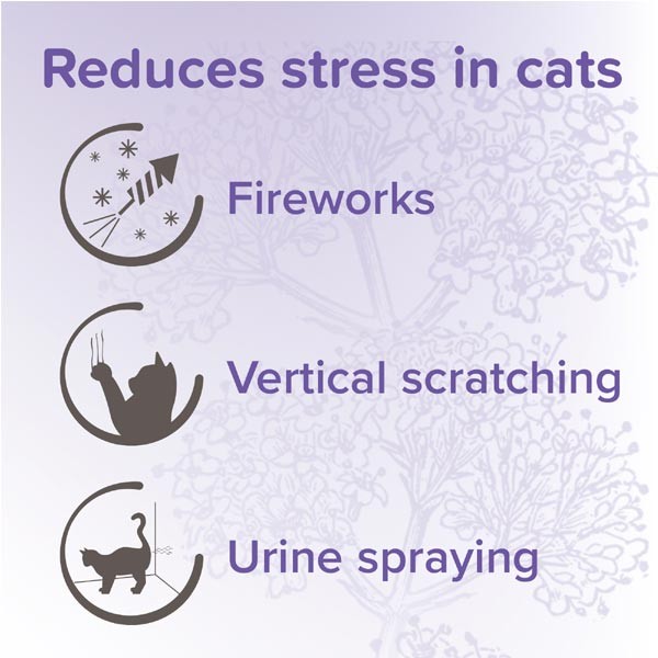 Beaphar Calming Herbal Spot-On for Cats 3 Pack 3 Beaphar Calming Herbal Spot-On for Cats 3 Pack - Image 3