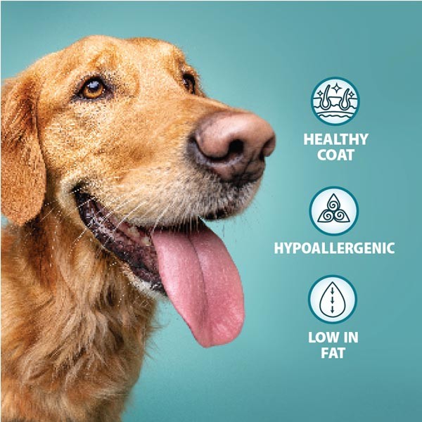 Burns Original Toy & Small Breed Chicken & Brown Rice Adult/Senior 2kg Dry Dog Food 3 Burns Original Toy & Small Breed Chicken & Brown Rice Adult/Senior 2kg Dry Dog Food - Image 3