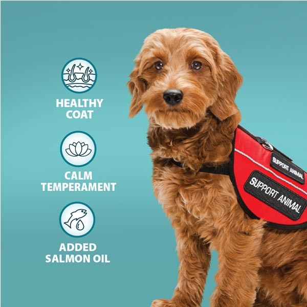 Burns Alert Assistance Lamb & Brown Rice Adult 12kg Dry Dog Food 2 Burns Alert Assistance Lamb & Brown Rice Adult 12kg Dry Dog Food - Image 2