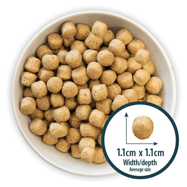 Burns Alert Assistance Lamb & Brown Rice Adult 12kg Dry Dog Food 3 Burns Alert Assistance Lamb & Brown Rice Adult 12kg Dry Dog Food - Image 3