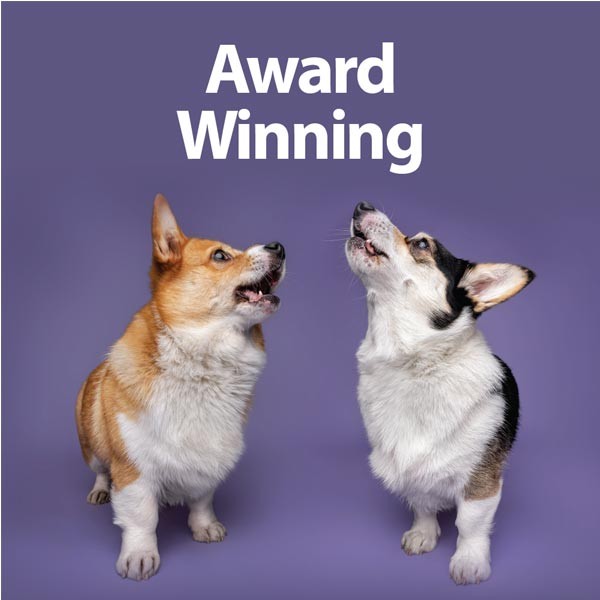 Burns Alert Assistance Lamb & Brown Rice Adult 12kg Dry Dog Food 4 Burns Alert Assistance Lamb & Brown Rice Adult 12kg Dry Dog Food - Image 4