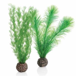 biOrb Feather Fern Set Green Small 2 Pack