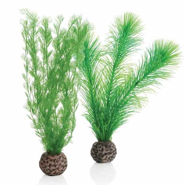 biOrb Feather Fern Set Green Small 2 Pack 1 biOrb Feather Fern Set Green Small 2 Pack