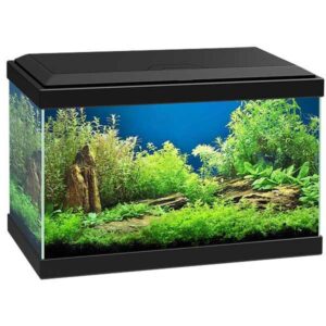 Ciano Aqua 20 Black LED Aquarium