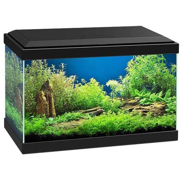 Ciano Aqua 20 Black LED Aquarium