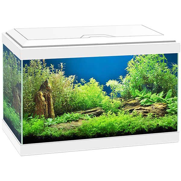 Ciano Aqua 20 LED White Aquarium 1 Ciano Aqua 20 LED White Aquarium